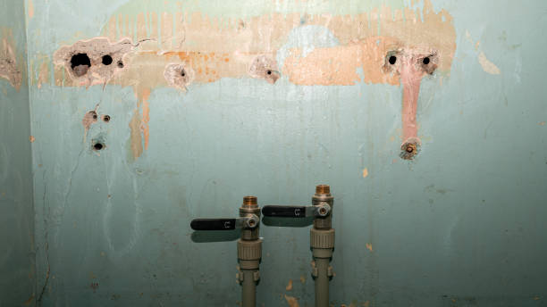 Best 24-hour water damage restoration  in Fruitvale, CO